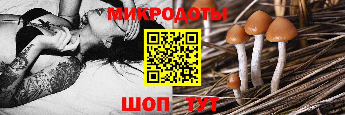 Галлюциногенные грибы мицелий Мытищи